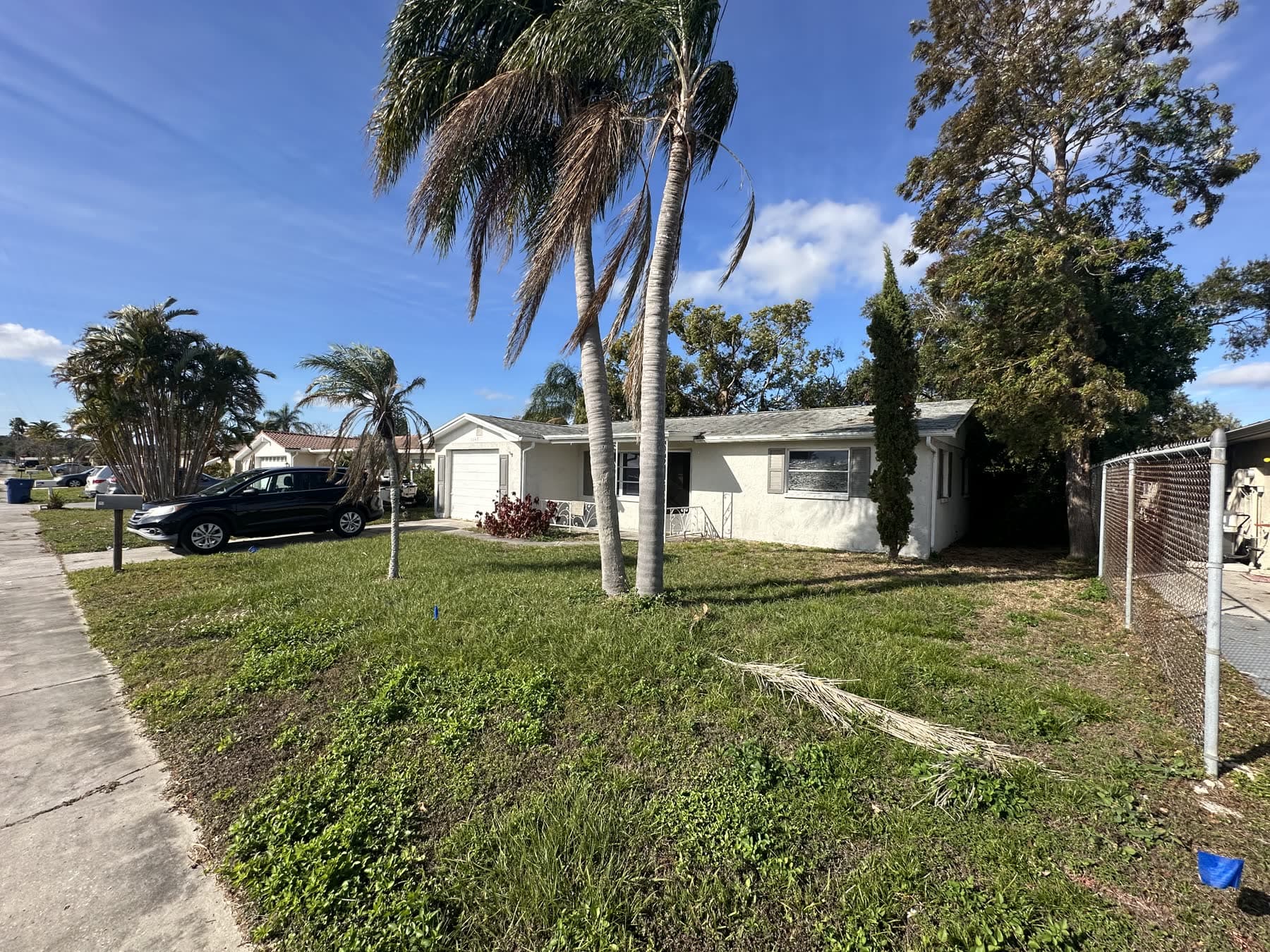Single-story house with palm trees in Holiday, Florida